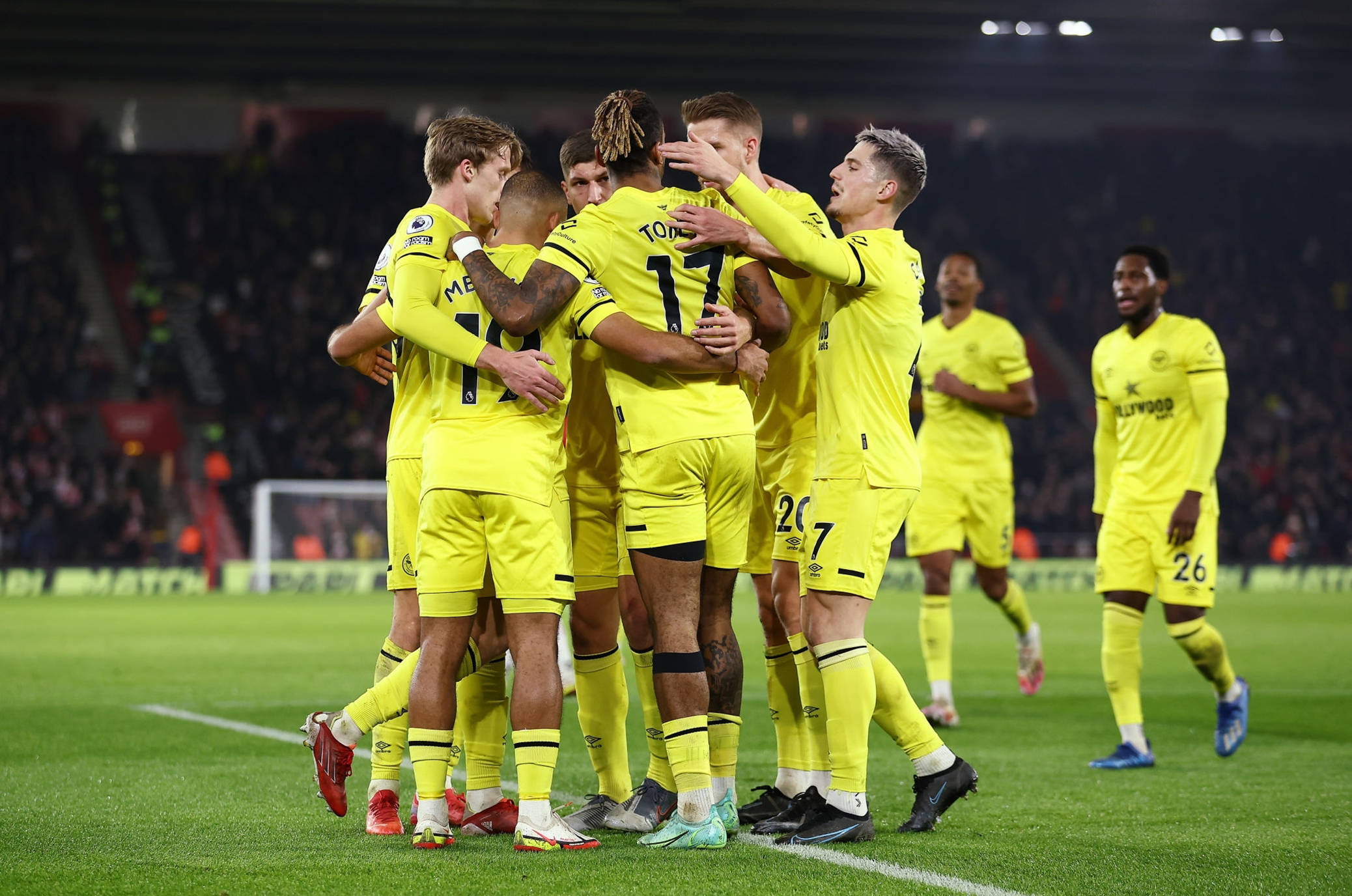 新西兰队展 新西兰队展